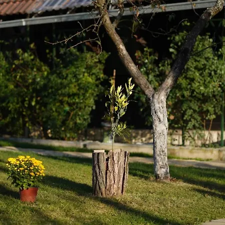 Medjedovica Brdo