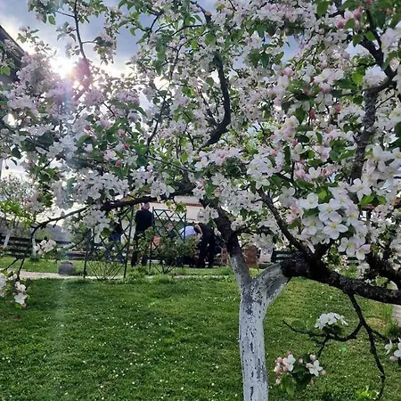 Medjedovica Brdo Godovik